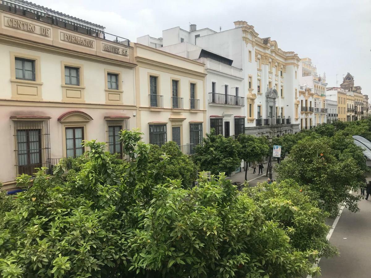 Apartamento Centro Jerez Appartement Jerez de la Frontera Buitenkant foto